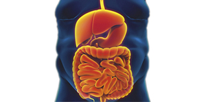 Approach to Metabolic Diseases 