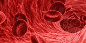 Sickle Cell Anemia: Haematological and Molecular Analysis