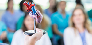 Internship hopes and challenges