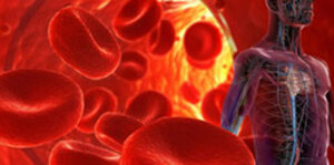 How to read and interpret RBCs morphology in health and disease