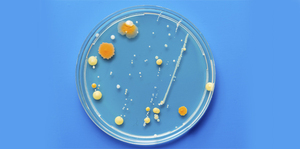 Acute UTI: Practical Approach