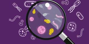 How to make micro study easy?