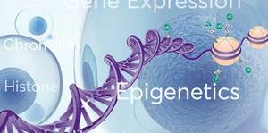 Epigenetics