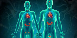 Endocrine Data Interpretation (diabetes, calcium and bone disorders, Lipids, Thyroid, Pituitary)