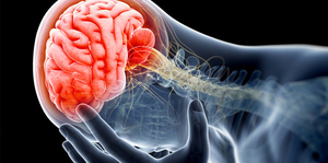 Traumatic Brain Injury: The Role & Indication for Emergency Referral