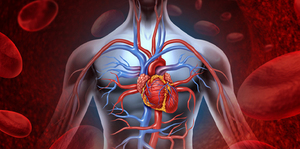 New Guidelines in Septic Shock