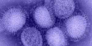 Monitoring the influenza activities: Correlation of Google Influenza Trend with Hospital Data