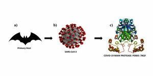 COVID-19: Pathogenesis and Therapeutic Weapons