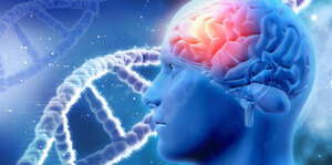 Autoimmune Encephalitis, What Do We Know So Far?