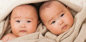 Multiple Gestational Pregnancy