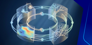 Menopause: Diagnosis and Management