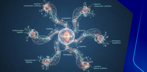 Common Geriatric Problems