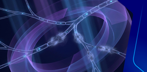 Common Neonatal Presentations to Family Physicians