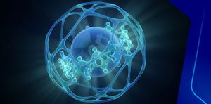 Physical Rehabilitation and Precautions