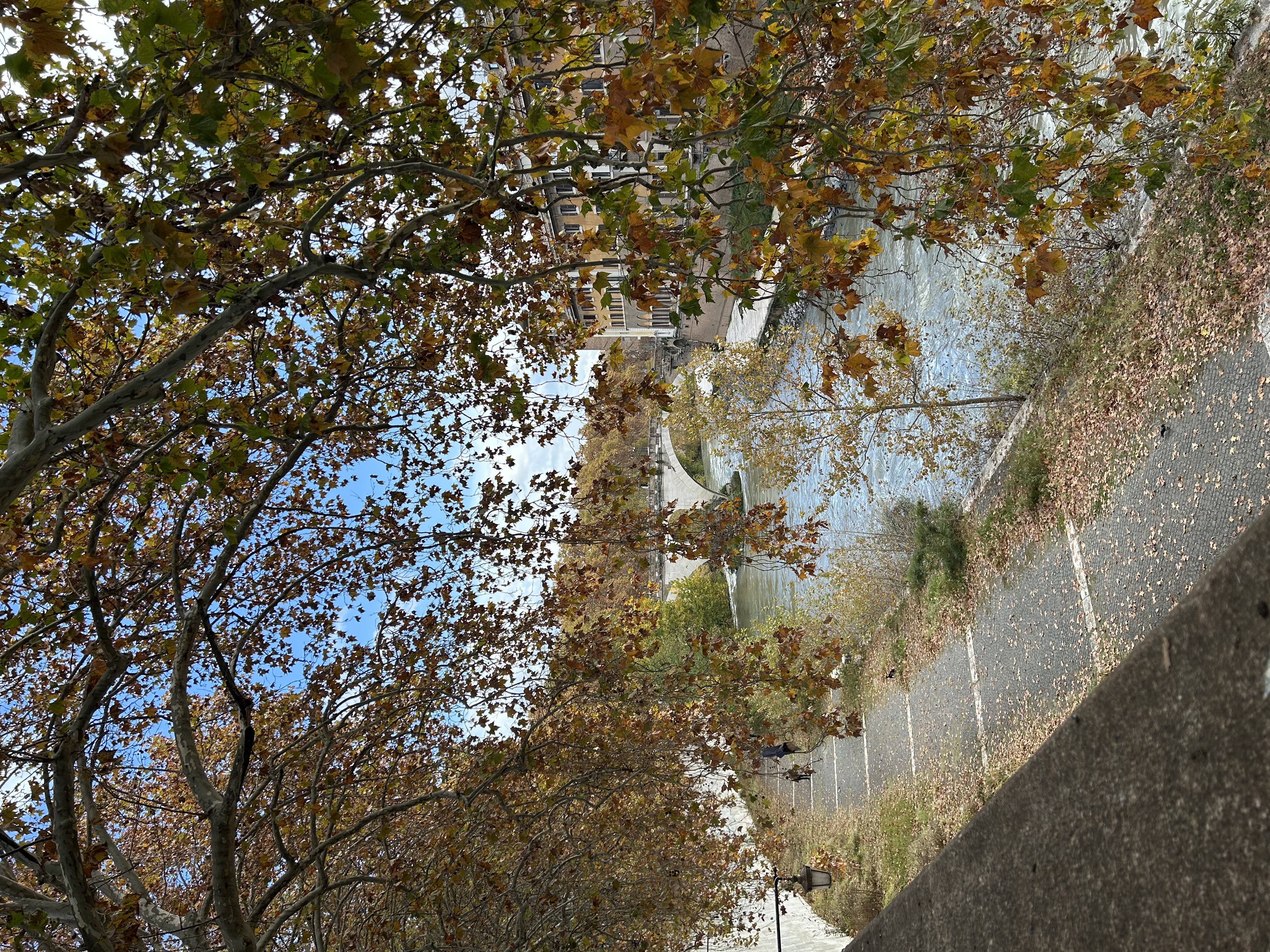 Dr. Rufaidah Al-Dabbagh