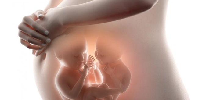 Ultrasound Gold Standard for evaluating placenta & twin pregnancy
