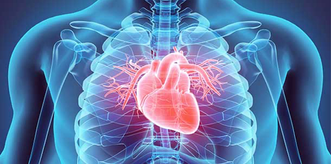 Heart Failure at a Glance; A Pharmacotherapeutic Review