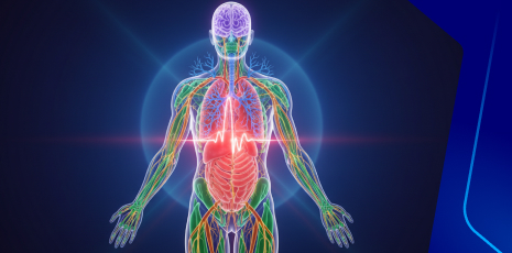 Overview of Adult Nursing